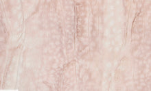 Load image into Gallery viewer, Axis Rosewater
